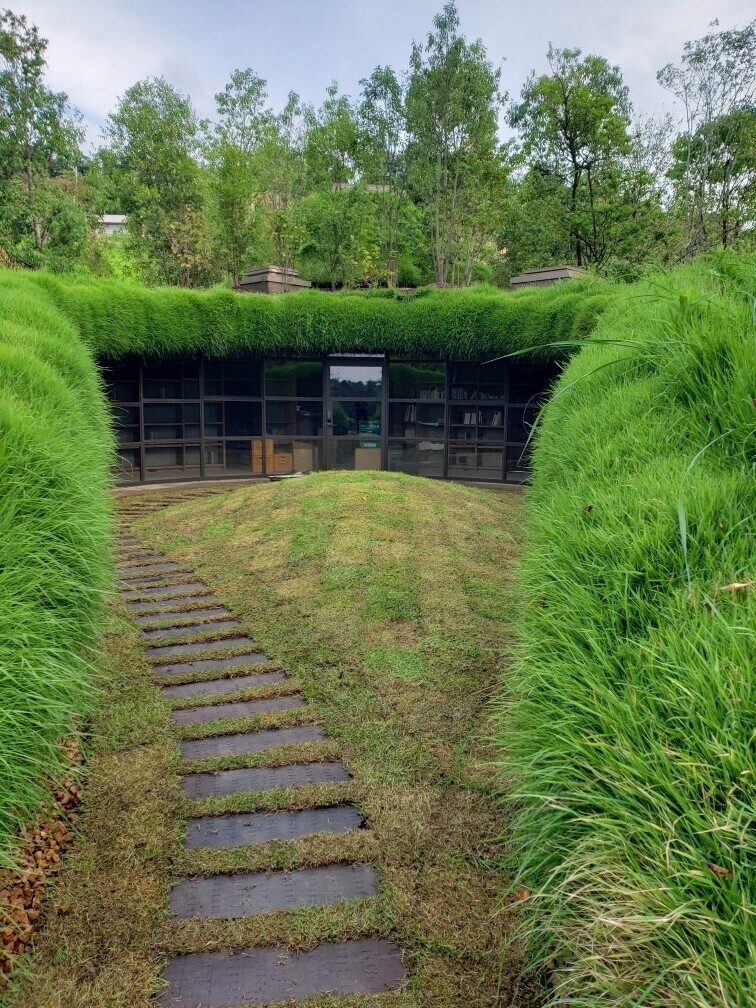 緑の屋根と土間の小径が続く、土を活かした建築空間の実例